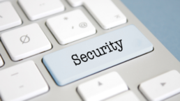 Microsoft Dynamics GP | Managing SSRS Security Roles